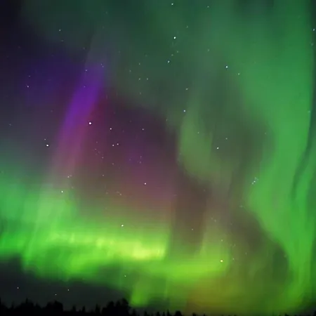 Cozy Condoli דירה רובניימי